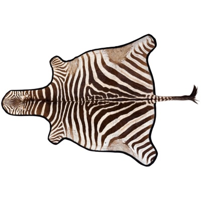 Zebra Rug of Unusual Small Size with Felt Edging and Backing